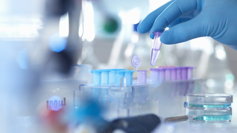 Fragmentation, red tape threaten Czech clinical research position – Euractiv