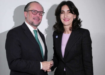 Georgian, Austrian FMs discuss “close cooperation”, EU integration at OSCE Ministerial meeting