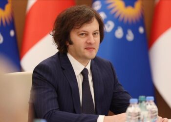 Georgian premier says there is no political crisis in country amid pro-EU protests