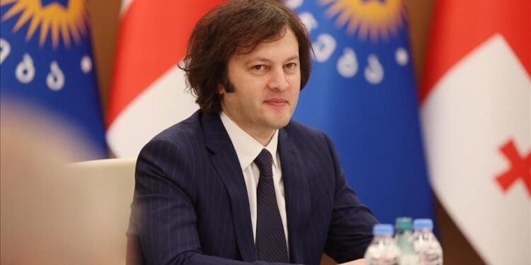 Georgian premier says there is no political crisis in country amid pro-EU protests