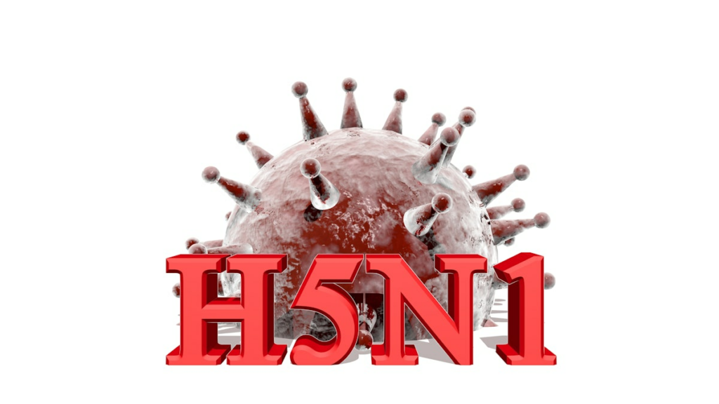 H5N1 re-emerges in European mammals