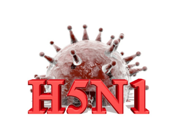 H5N1 re-emerges in European mammals