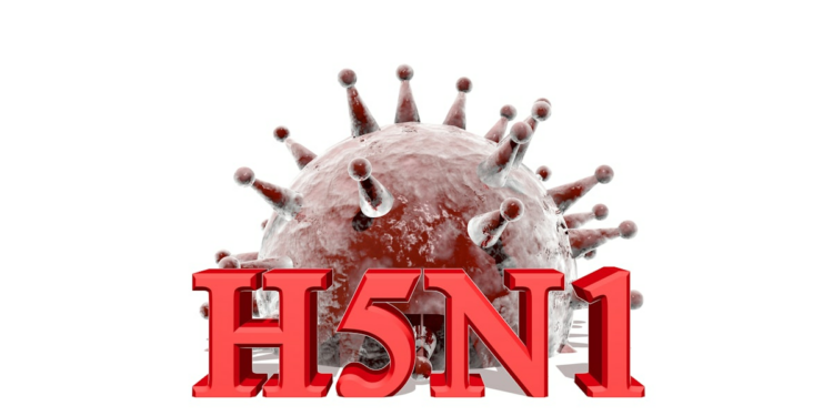 H5N1 re-emerges in European mammals