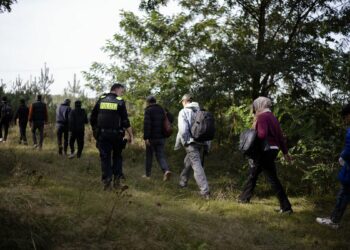 Half of EU countries missed first deadline to implement migration pact