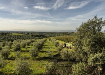 Italy Struggles to Harvest Fruits of EU Recovery Fund Boon Italy Struggles to Harvest Fruits of EU Recovery Fund Boon