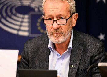 MEP Sean Kelly welcomes EU Tik Tok Investigation MEP Sean Kelly welcomes EU Tik Tok Investigation