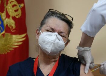 Montenegro appeals to EU, NATO for medical staff to help it fight COVID-19 – Euractiv