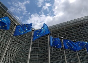 No French please: Train conductor’s ‘bonjour’ causes stir in language-divided Belgium