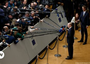 No concrete promises for EU accession date – DW – 12/21/2024