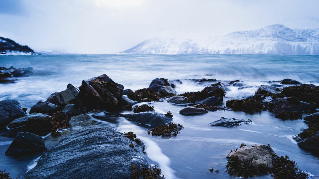 Norway halts deep-sea mining plans « Euro Weekly News