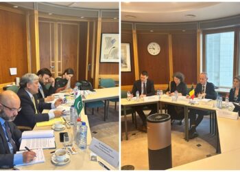 Pakistan, Belgium discuss collaboration in trade, culture, science