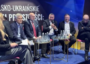 Polish EU Presidency should focus on two priorities for Ukraine