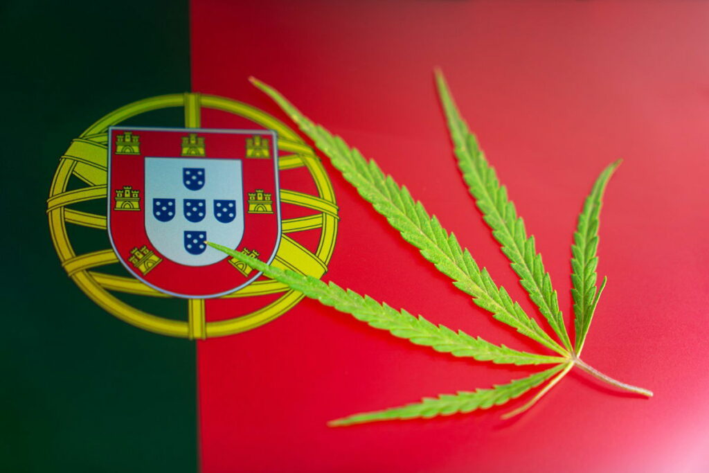 Portugal’s medical cannabis export boom « Euro Weekly News