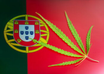 Portugal’s medical cannabis export boom « Euro Weekly News