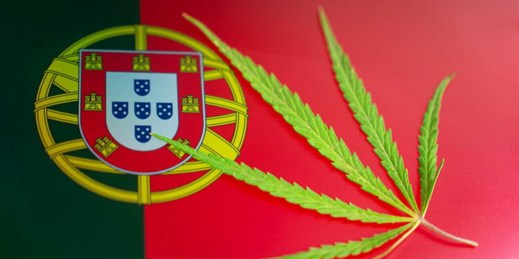 Portugal’s medical cannabis export boom « Euro Weekly News