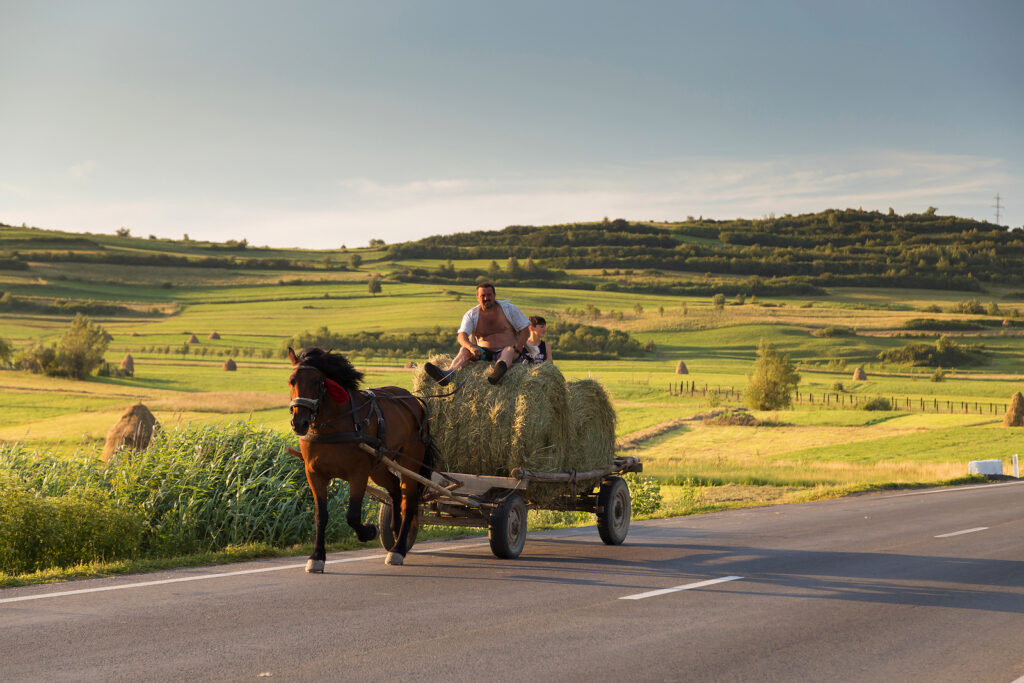 Reinventing rural development in emerging Europe