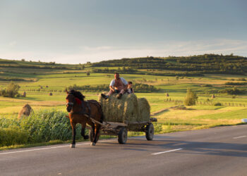 Reinventing rural development in emerging Europe Reinventing rural development in emerging Europe