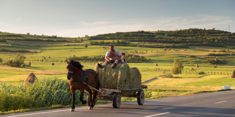 Reinventing rural development in emerging Europe