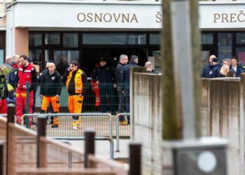 Seven-year-old dies in stabbing attack at Croatia school