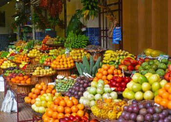 Slovak MEPs divided over EU-Mercosur deal Slovak MEPs divided over EU-Mercosur deal