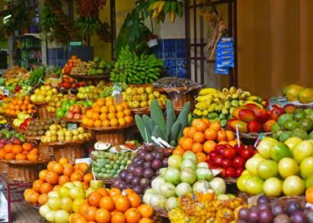 Slovak MEPs divided over EU-Mercosur deal – Euractiv Slovak MEPs divided over EU-Mercosur deal – Euractiv