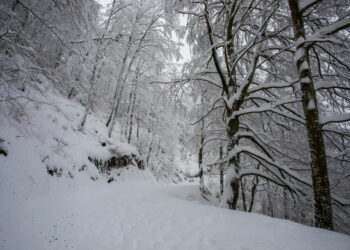 Spain braced for torrential rain, snow, storms « Euro Weekly News