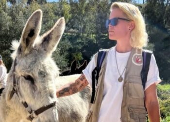 Speaking European – Martine Meijn from Amsterdam « Euro Weekly News