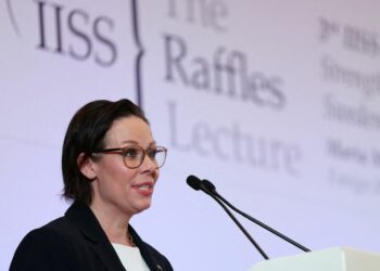 Sweden to focus on domestic interests, not on being global moral power, says minister Sweden to focus on domestic interests, not on being global moral power, says minister