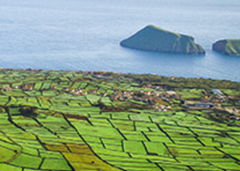 TAP Air Portugal Trifecta: New Routes from Boston, Los Angeles and San Francisco