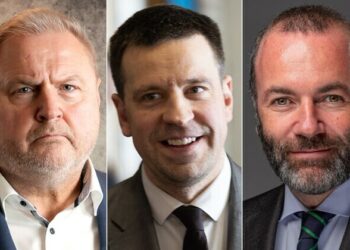 Terras, Ratas, Weber: EU automotive industry in deep crisis | Opinion Terras, Ratas, Weber: EU automotive industry in deep crisis | Opinion