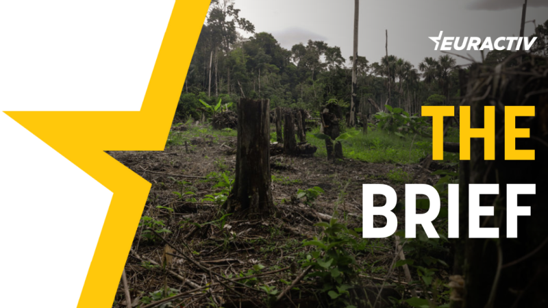 The Brief – EU faces credibility test on anti-deforestation rules – Euractiv