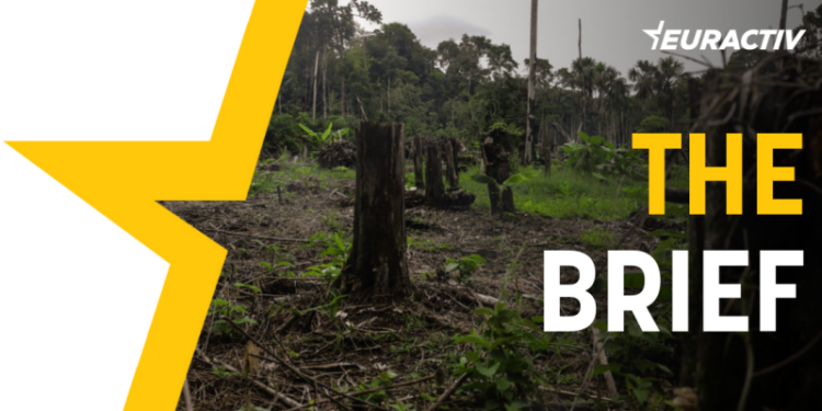 The Brief – EU faces credibility test on anti-deforestation rules – Euractiv