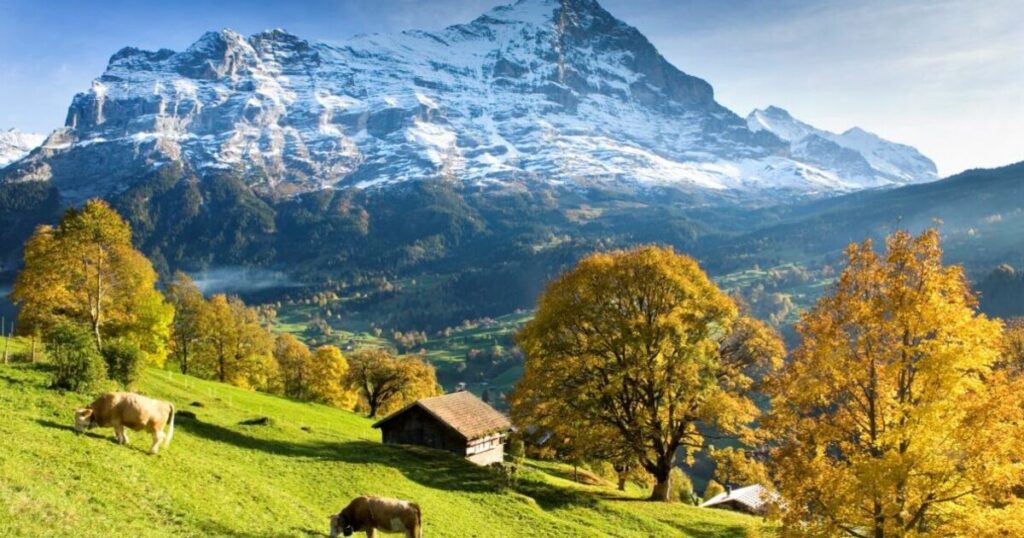 Tiny European village like stepping into a postcard’ and perfect for a festive trip | Travel News | Travel