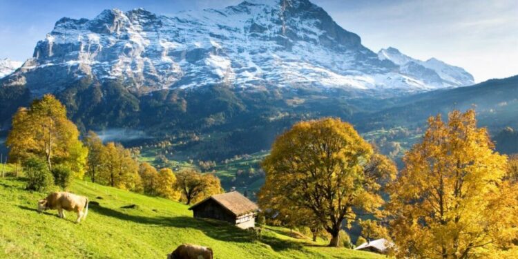 Tiny European village like stepping into a postcard’ and perfect for a festive trip | Travel News | Travel