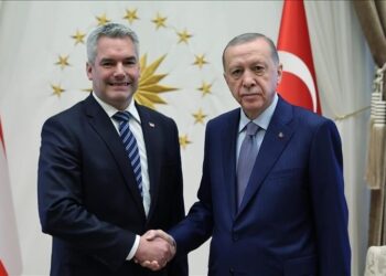 Turkish president, Austrian chancellor discuss Syria’s future, return of refugees