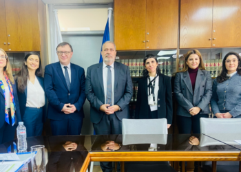 Visit to Cyprus on the execution of the European Court’s judgments