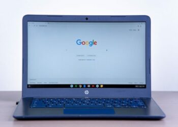 What are Latvian residents’ most looked up topics? Google reveals top searches of 2024