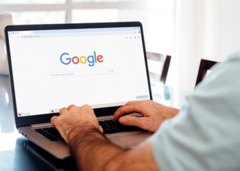 What did people in the Netherlands Google in 2024?