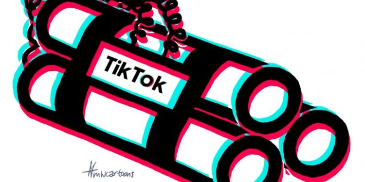 tiktok voxeurop wolternik