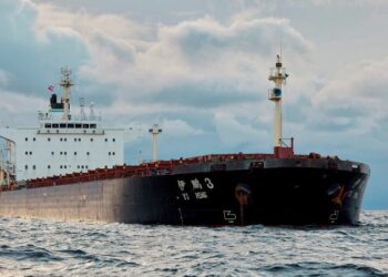 Yi Peng 3: Swedish police board ship in Baltic severed cable probe
