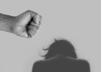progress made, but concerns remain over post-domestic violence custody and visitation arrangements – FINCHANNEL progress made, but concerns remain over post-domestic violence custody and visitation arrangements – FINCHANNEL