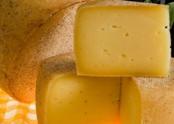 ‘Livanjski sir’ receives a prestigious EU Protected Geographical Indication