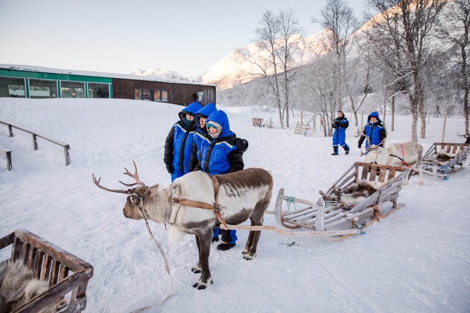 Rudolph is pretty easy to come across, along with the rest of his sleigh-pulling sidekicks