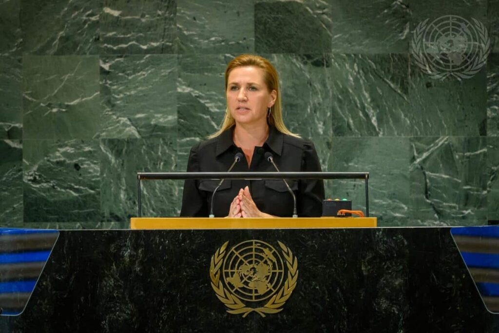 Denmark in the Security Council for the next two years