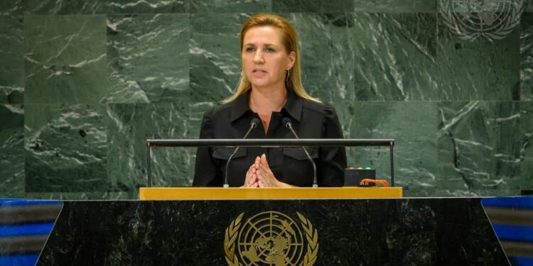 Denmark in the Security Council for the next two years
