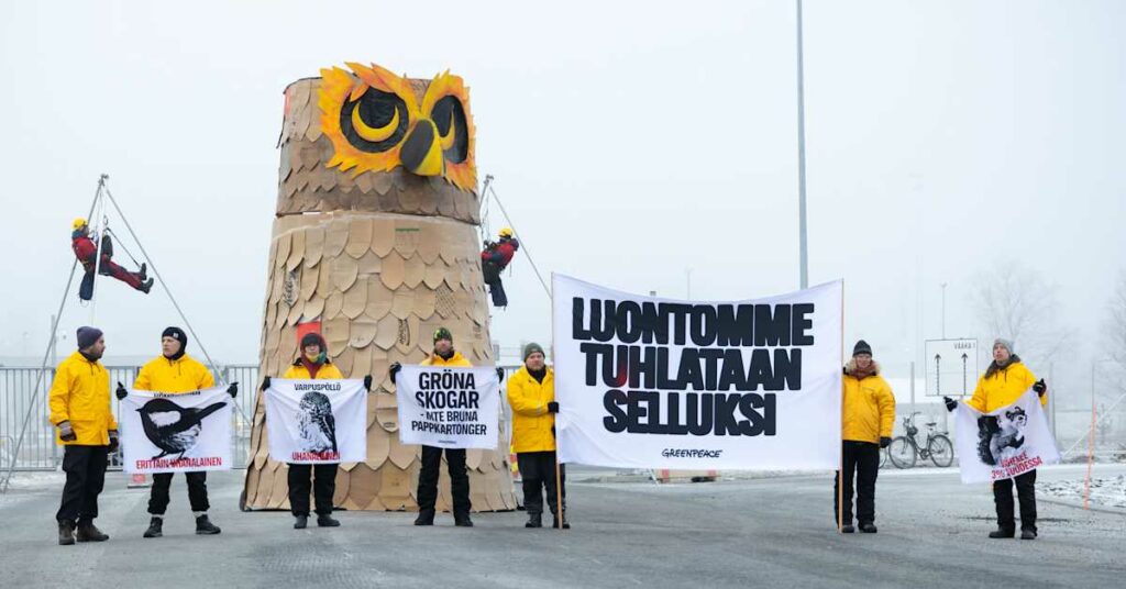 Supreme admin court dismisses second climate case against Finnish government | Yle News