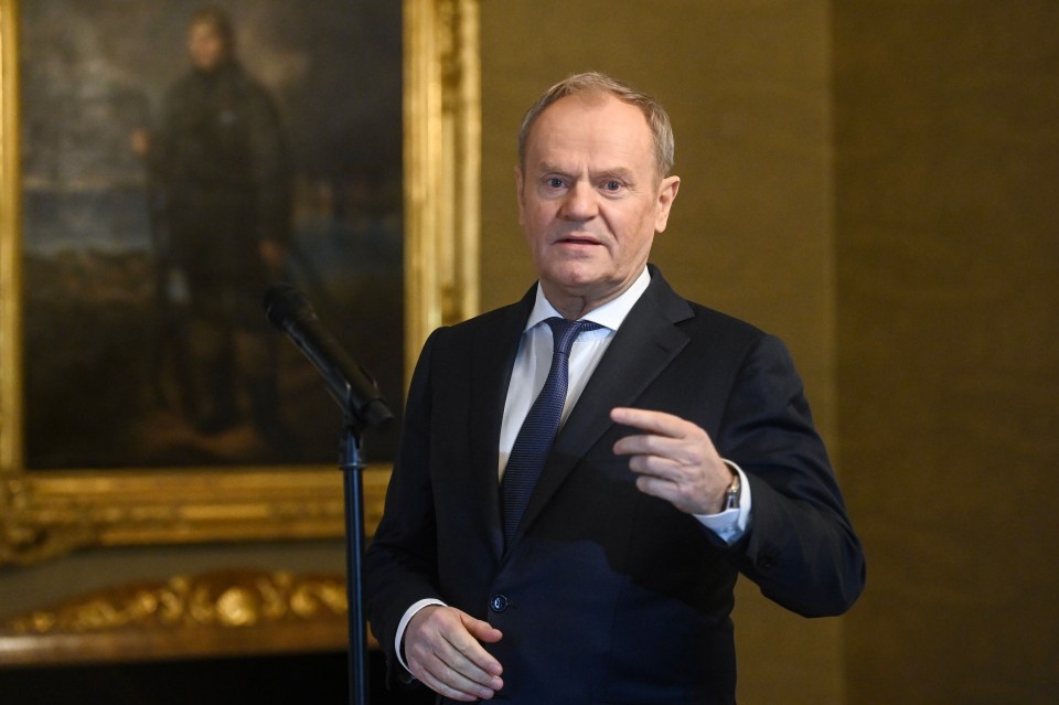 Polish Prime Minister Donald Tusk speaking at a NATO summit.