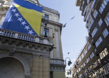 BiH in 2024: Navigating Complex Security Challenges Amid Regional and Global Tensions