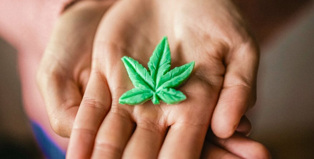 Czechia to regulate low-THC cannabis in 2025: What it means for consumers