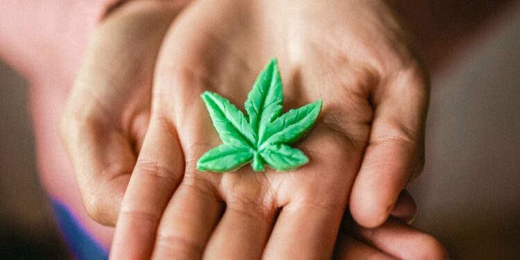 Czechia to regulate low-THC cannabis in 2025: What it means for consumers